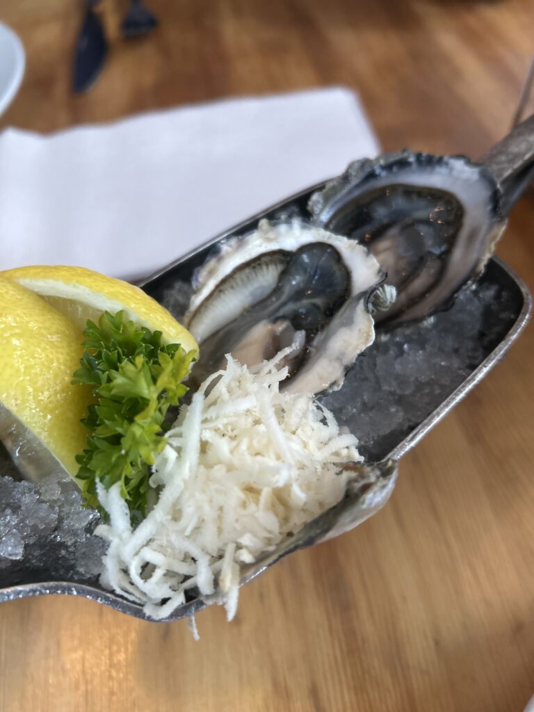 カナダ　バンクーバー　夏休み　インテリア　片付け　旅行　一人旅