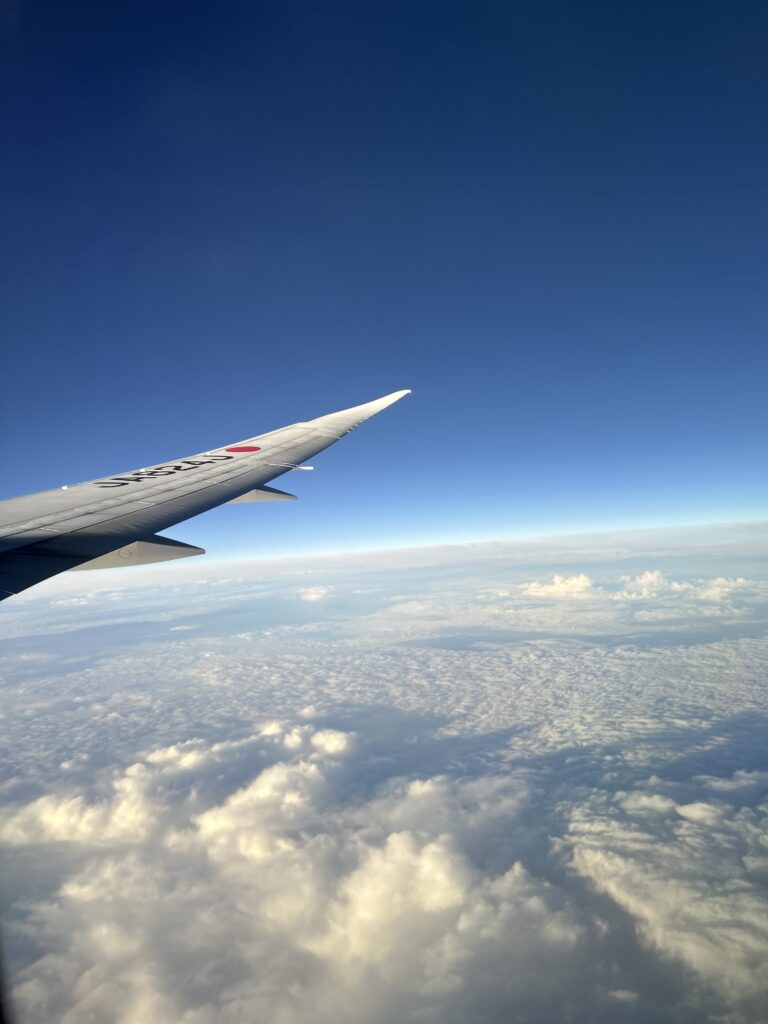 カナダ　バンクーバー　夏休み　インテリア　片付け　旅行　一人旅