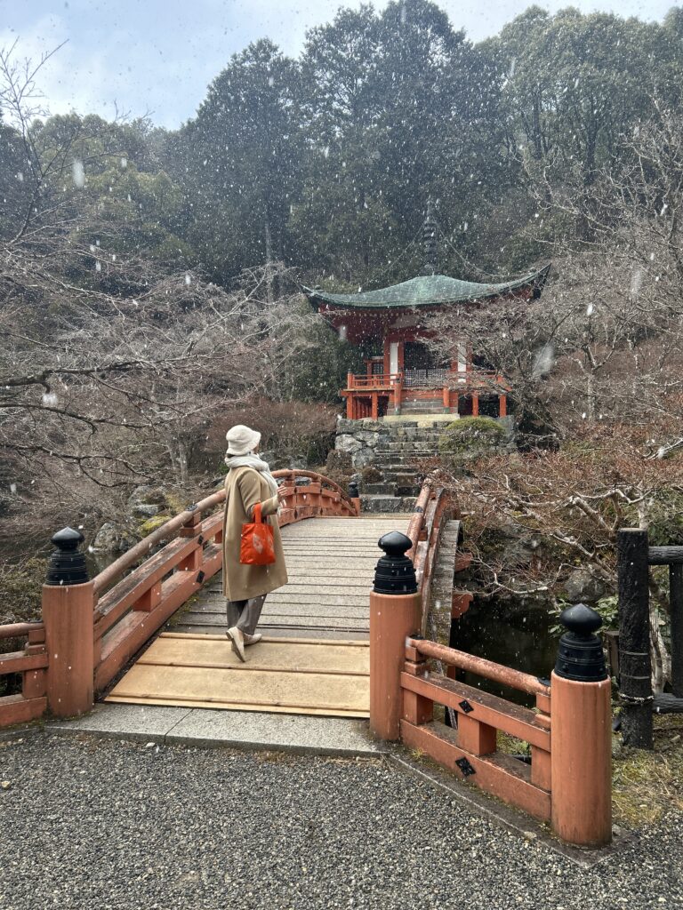 京都　大人　kyoto
 trip Japan Suzuki yeri organized home cozy