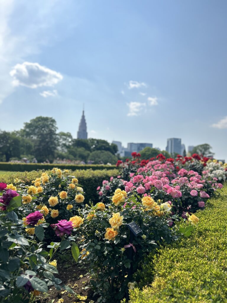 整理収納　片付け　料理　鈴木　ゆり　日常　暮らし　丁寧な暮らし　平凡だけど幸せな日々　料理　快適暮らしコンサルタント　インテリア