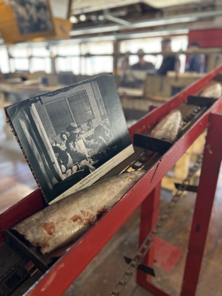 カナダ　バンクーバー　夏休み　インテリア　片付け　旅行　一人旅